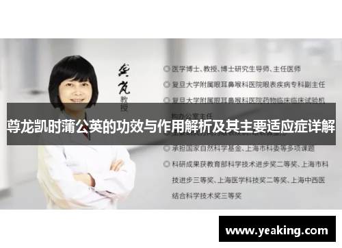 尊龙凯时蒲公英的功效与作用解析及其主要适应症详解