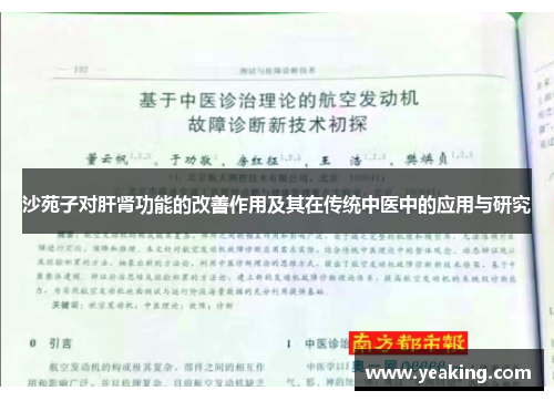 沙苑子对肝肾功能的改善作用及其在传统中医中的应用与研究