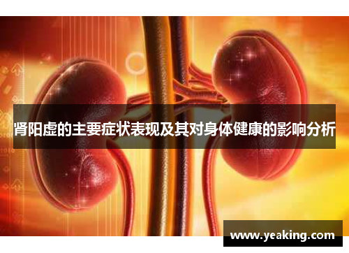 肾阳虚的主要症状表现及其对身体健康的影响分析