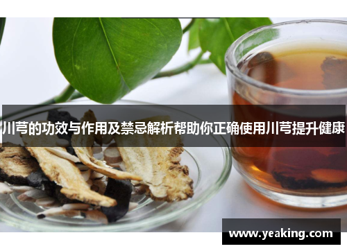 川芎的功效与作用及禁忌解析帮助你正确使用川芎提升健康
