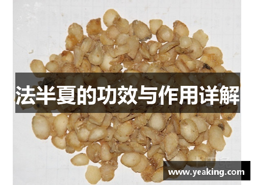 法半夏的功效与作用详解