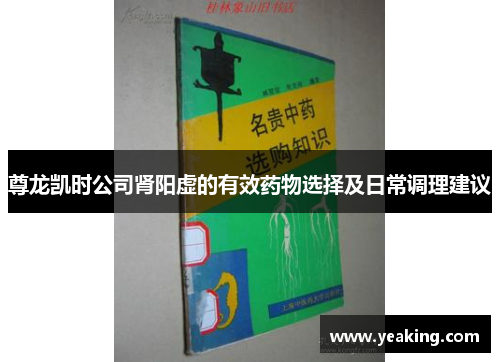 尊龙凯时公司肾阳虚的有效药物选择及日常调理建议