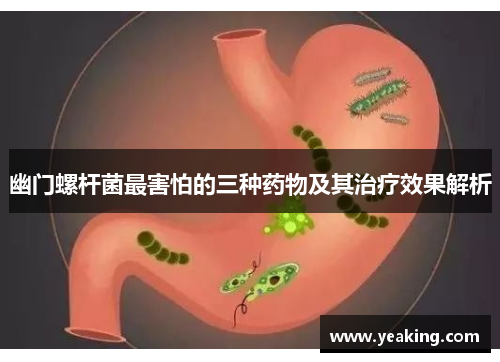 幽门螺杆菌最害怕的三种药物及其治疗效果解析
