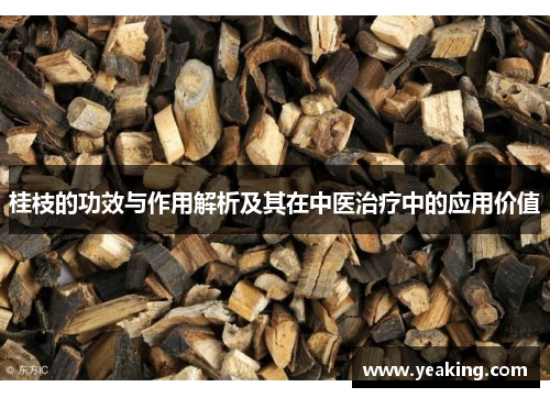桂枝的功效与作用解析及其在中医治疗中的应用价值
