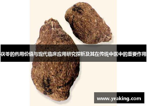 茯苓的药用价值与现代临床应用研究探析及其在传统中医中的重要作用