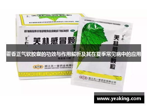 藿香正气软胶囊的功效与作用解析及其在夏季常见病中的应用