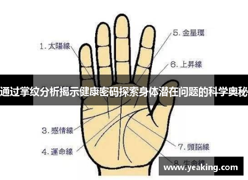 通过掌纹分析揭示健康密码探索身体潜在问题的科学奥秘