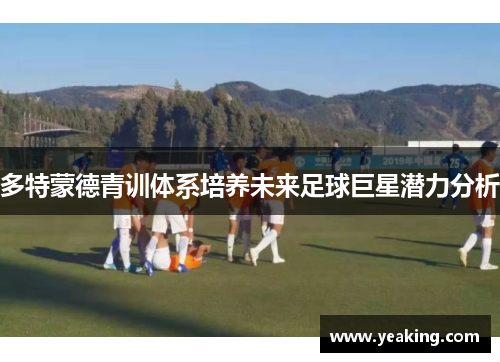 多特蒙德青训体系培养未来足球巨星潜力分析
